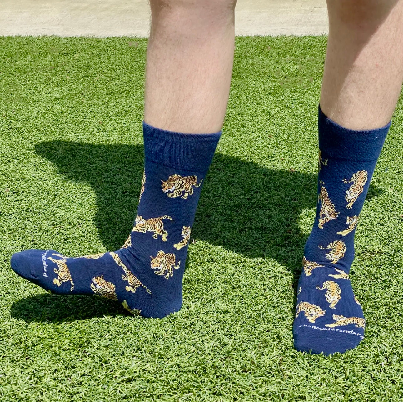 Men’s Go Get ‘em Tiger Socks, Navy & Gold