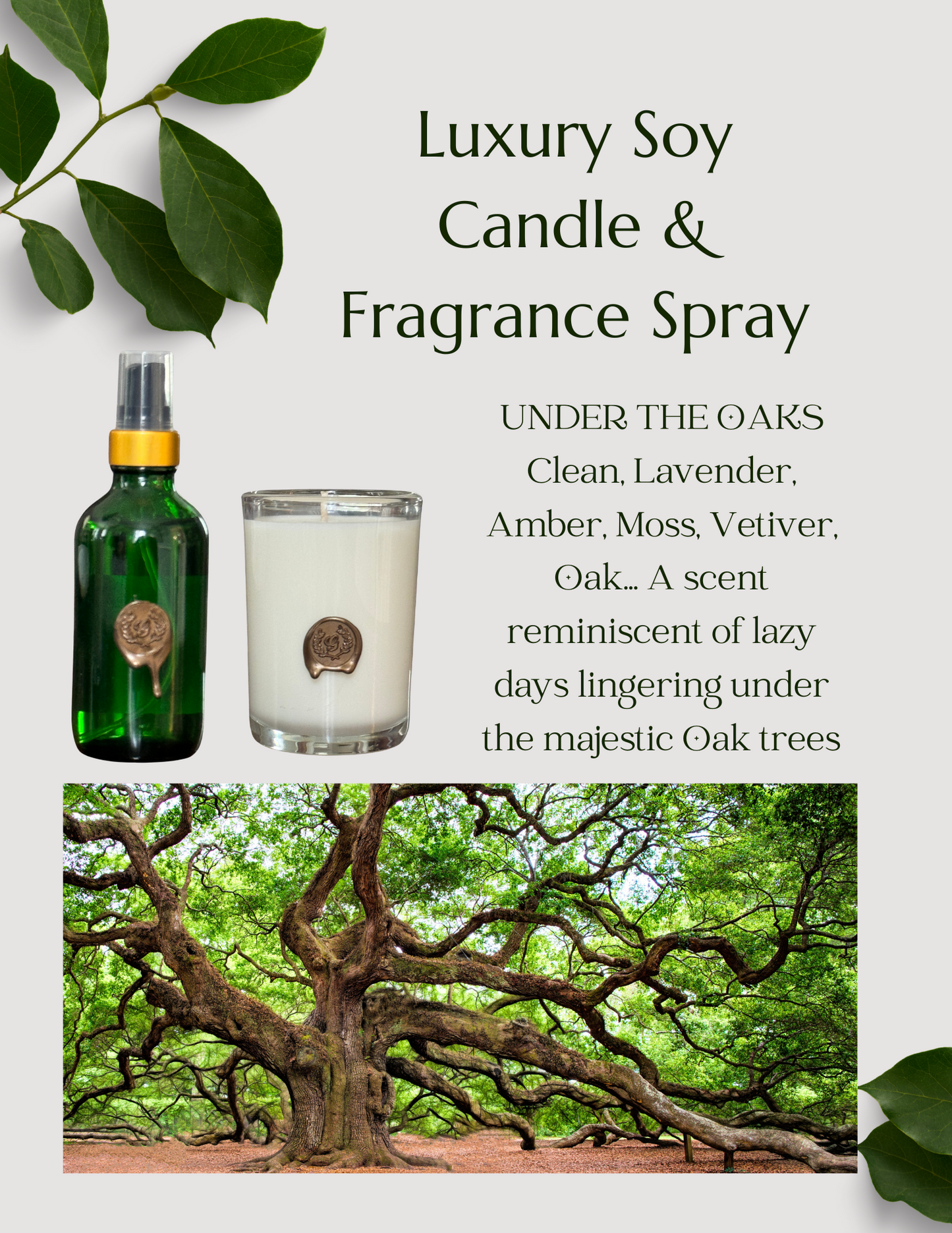 UNDER THE OAKS Luxury Soy Candle